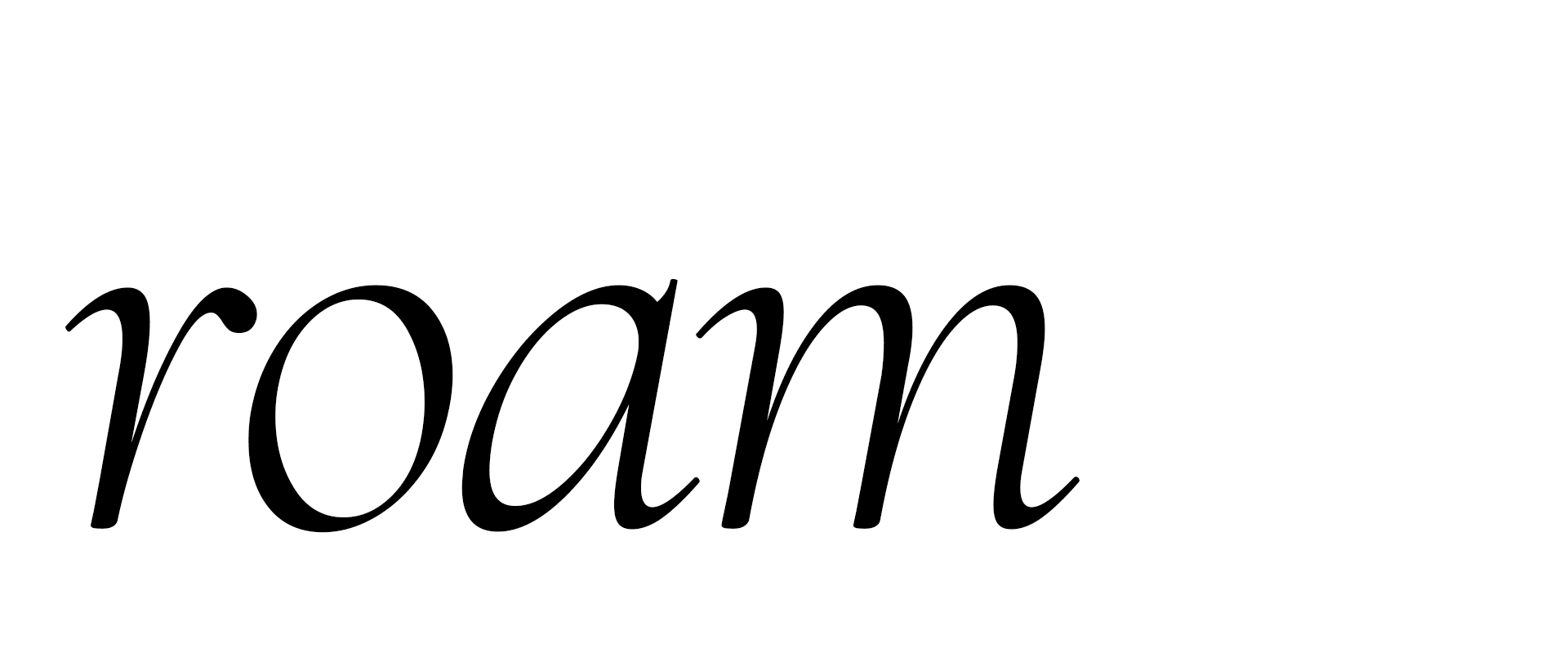 roam banner - Site Logo